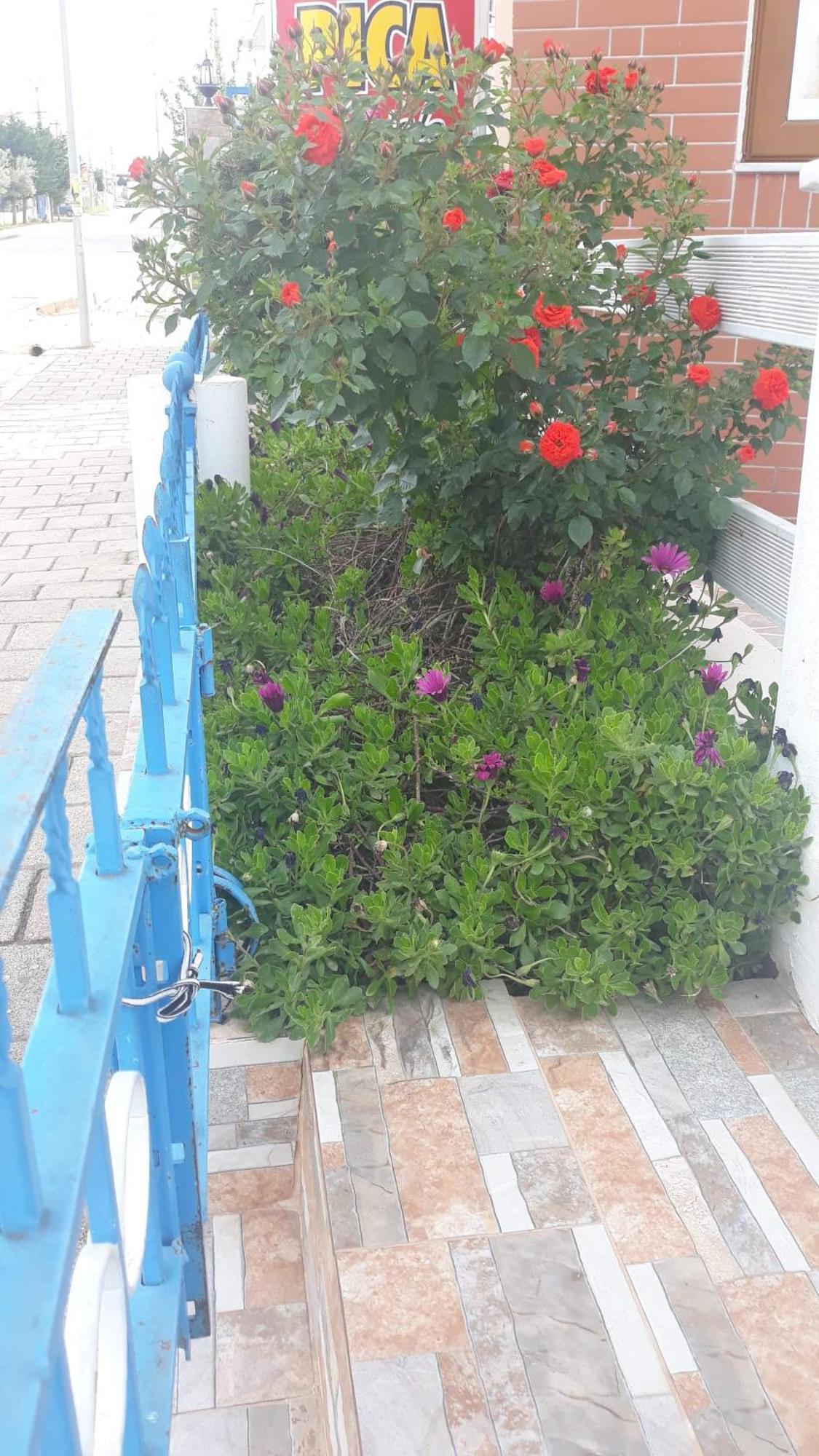 Vila Shuka Ksamil Саранда Экстерьер фото